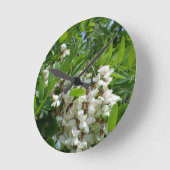 Robinia white tree inflorescence ronde klok (Hoek)