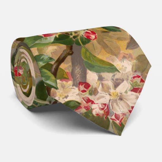 Robins 1896 stropdas (Opgerold)