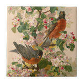 Robins 1896 tegeltje (Voorkant)