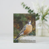 Robins Bath-vogel briefkaart (Staand voorkant)