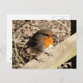 ROBINS BRIEFKAART (Voorkant / Achterkant)