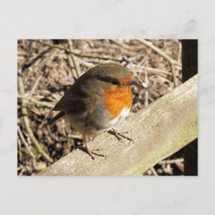 ROBINS BRIEFKAART