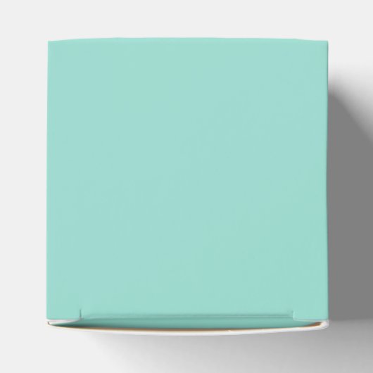 Robin's Egg Blue Bedankdoosjes (Bovenkant)