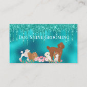 Robin's Egg Blue Dog Grooming Appointment Card Visitekaartje (Voorkant)