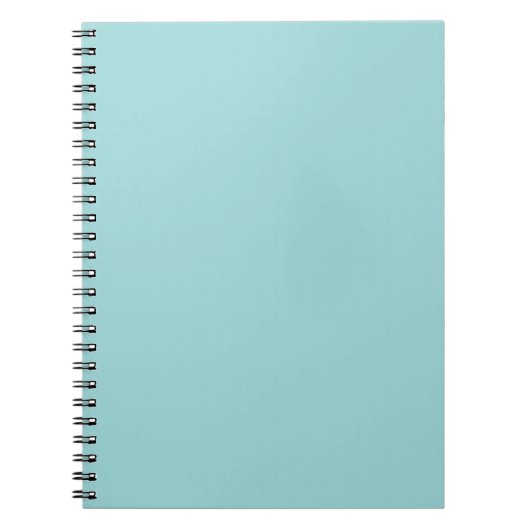 Robin's Egg Blue Notitieboek (Voorkant)