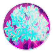 Robin's Egg Blue Peppermint Twist Phlox Flowers Keramische Knop (Voorkant)