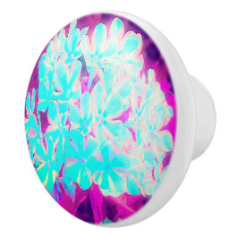 Robin's Egg Blue Peppermint Twist Phlox Flowers Keramische Knop