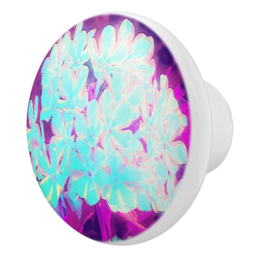 Robin's Egg Blue Peppermint Twist Phlox Flowers Keramische Knop (Rechts)