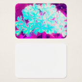 Robin's Egg Blue Peppermint Twist Phlox Flowers Visitekaartje (Voorkant /achterkant)