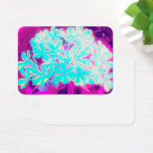 Robin's Egg Blue Peppermint Twist Phlox Flowers Visitekaartje (Bureau)