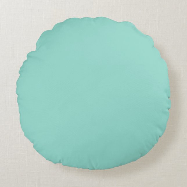 Robin's Egg Blue Round Pillow Rond Kussen (Voorkant)