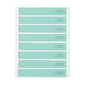 Robin's Egg Blue Solid Color (Vel)