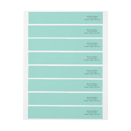 Robin's Egg Blue Solid Color (Vel)