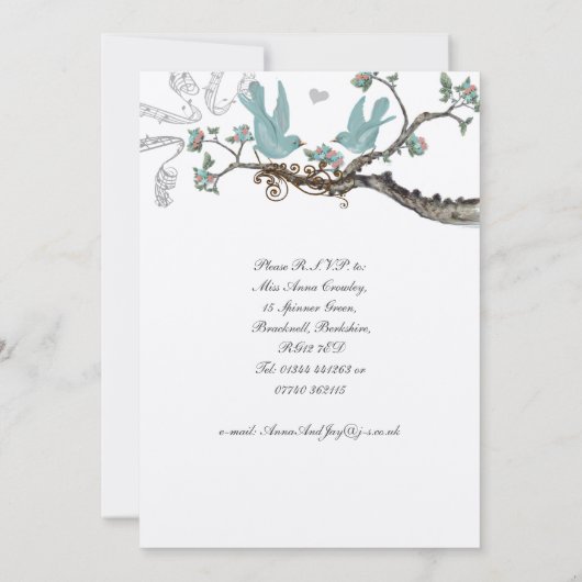  Robin's Egg Blue Wedding Invitations Kaart (Achterkant)