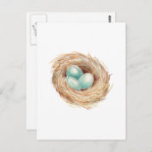 Robin's Egg Nest Blue Waterverf Briefkaart (Voorkant / Achterkant)