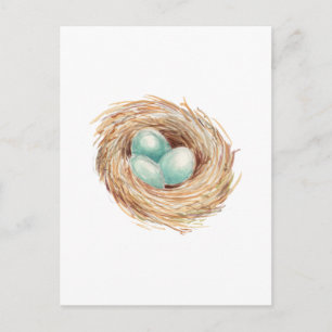 Robin's Egg Nest Blue Waterverf Briefkaart