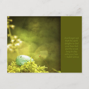Robins Egg on Moss Foto met Inspirerend Quote Briefkaart
