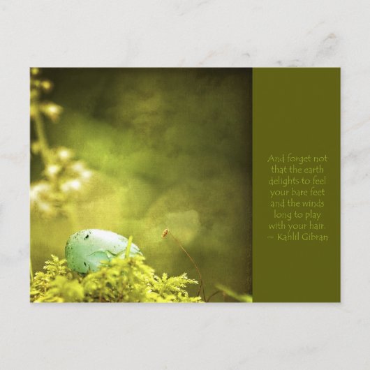 Robins Egg on Moss Foto met Inspirerend Quote Briefkaart (Voorkant)
