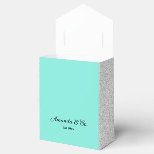 Robin's Egg Purse Bow Bride & Co Bedankdoosjes (Geopend)