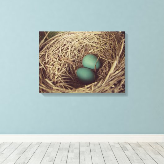 Robins Eieren in Nest Canvas Afdruk (Insitu (Houten vloer))