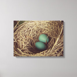 Robins Eieren in Nest Canvas Afdruk