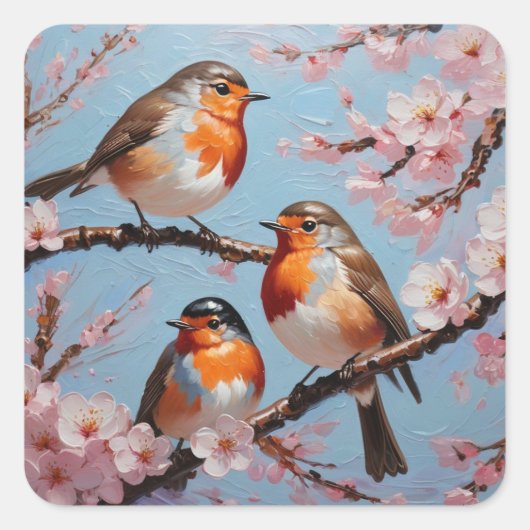 Robins en kersenbloesems vierkante sticker (Voorkant)