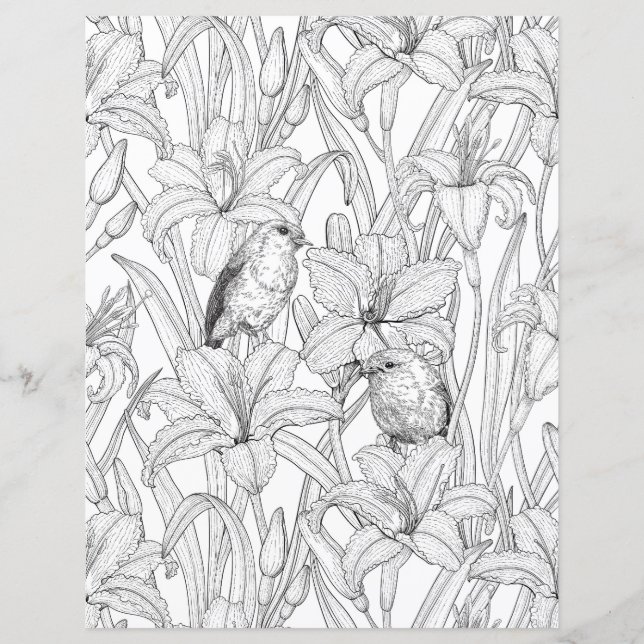 Robins en leliebloemen, zwart en wit (Voorkant)