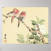 Robins en Peony japans  bloemenkunst Poster (Voorkant)