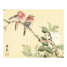 Robins en Peony japans bloemenkunst