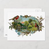  Robins en vergeet-me-Nots Briefkaart (Voorkant / Achterkant)