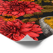 Robins in de herfsttuin, rode dahlias op zwart poster (Hoek)