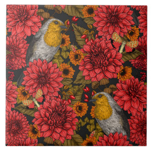 Robins in de herfsttuin, rode dahlias op zwart tegeltje
