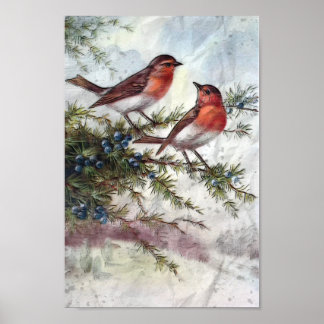 Robins in de winter poster