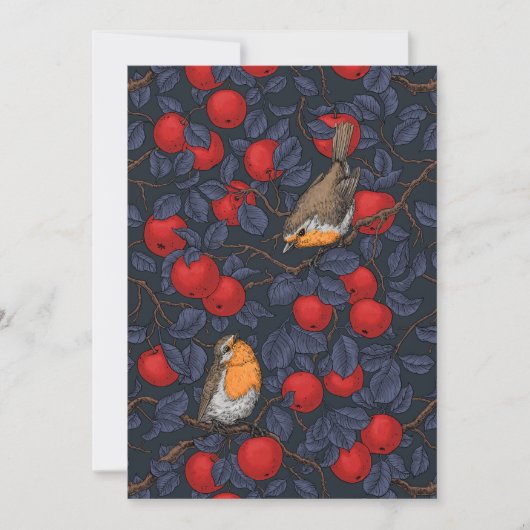 Robins in the apple tree/blue and red  (Voorkant)