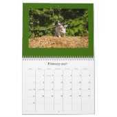 Robin's kalender (Feb 2027)