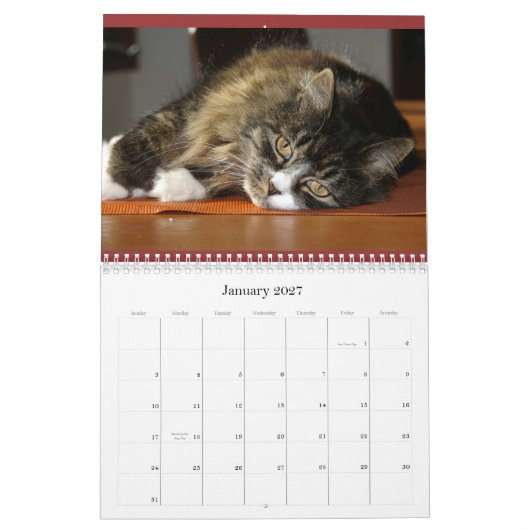 Robin's kalender (Jan 2027)