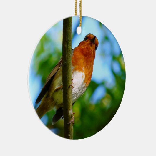 ROBINS KERAMISCH ORNAMENT (Rechts)