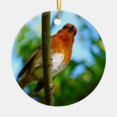 ROBINS KERAMISCH ORNAMENT (Voorkant)