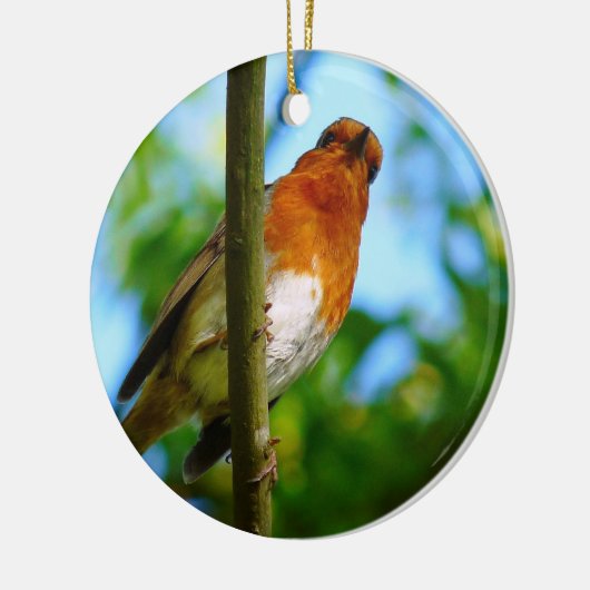 ROBINS KERAMISCH ORNAMENT (Links)