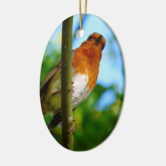 ROBINS KERAMISCH ORNAMENT (Links)