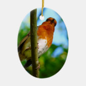 ROBINS KERAMISCH ORNAMENT (Voorkant)