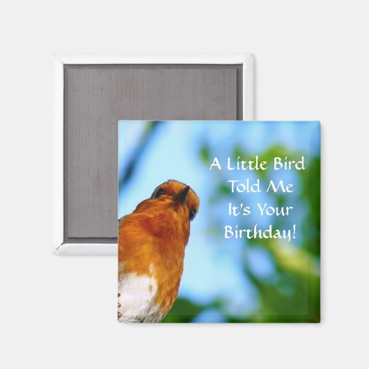 ROBINS MAGNEET (Voorkant / Achterkant)