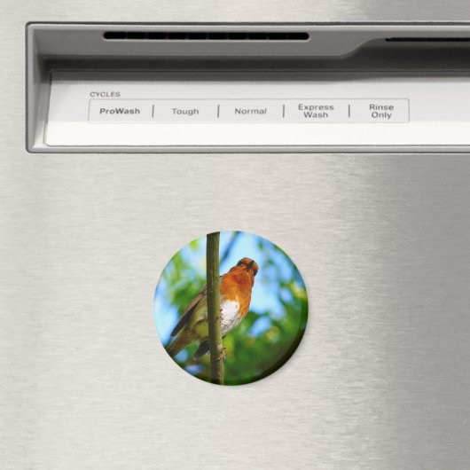 ROBINS MAGNEET (Insitu (Vaatwasser))