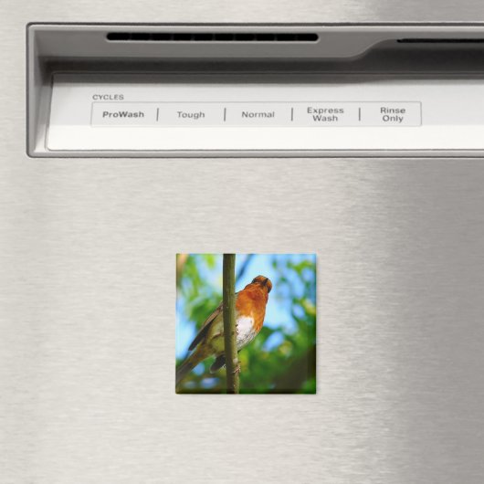 ROBINS MAGNEET (Insitu (Vaatwasser))