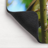 ROBINS MUISMAT (Hoek)