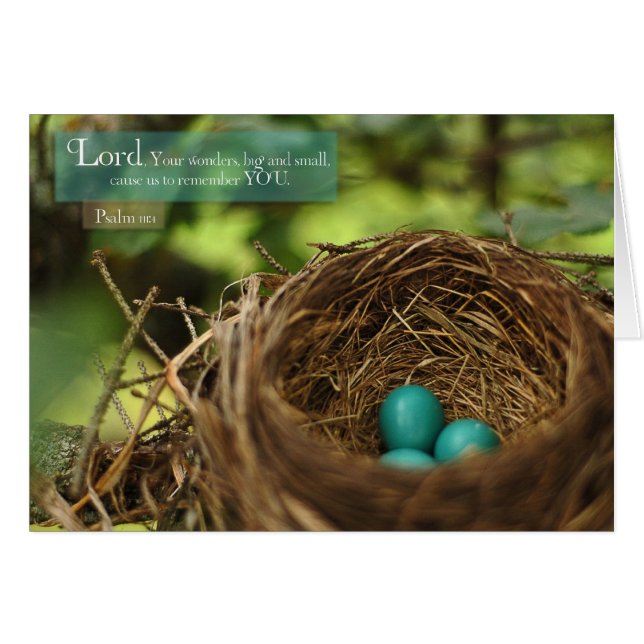 Robin's Nest (Voorkant Horizontaal)