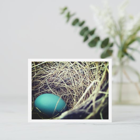Robin's Nest | Briefkaart (Staand voorkant)