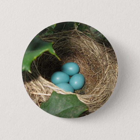 Robin's Nest Button (Voorkant)