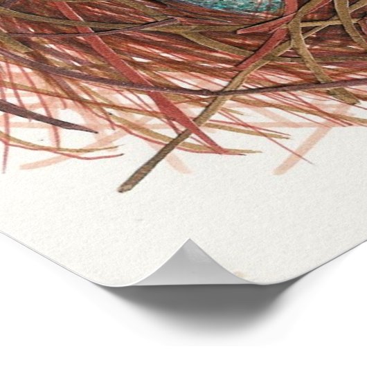 Robin's Nest Poster (Hoek)