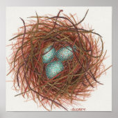 Robin's Nest Poster (Voorkant)